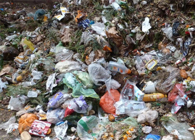 Strengere Regeln für Bioabfälle